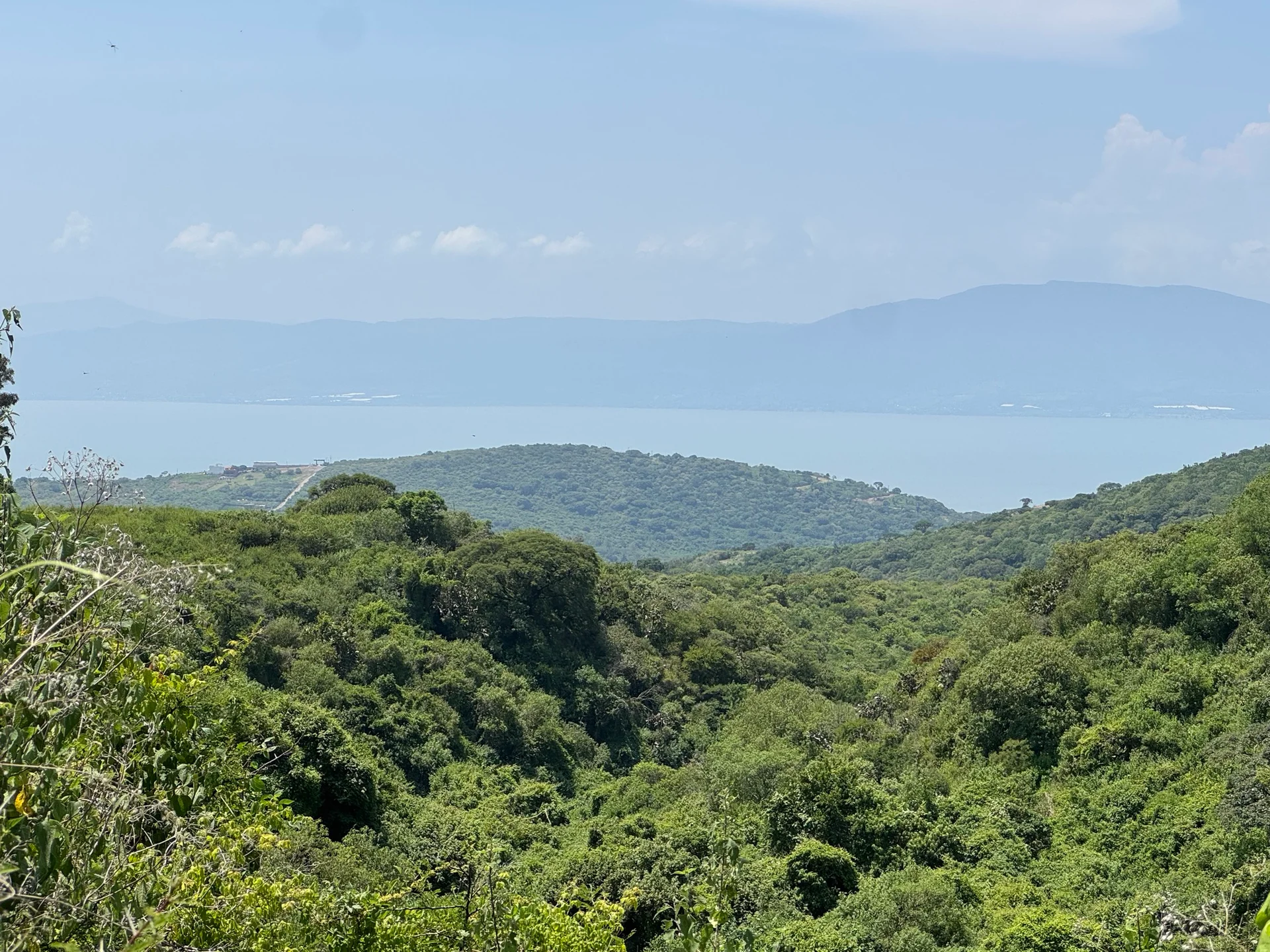 A photograph from my hikes in the mountains above Lake Chapala.